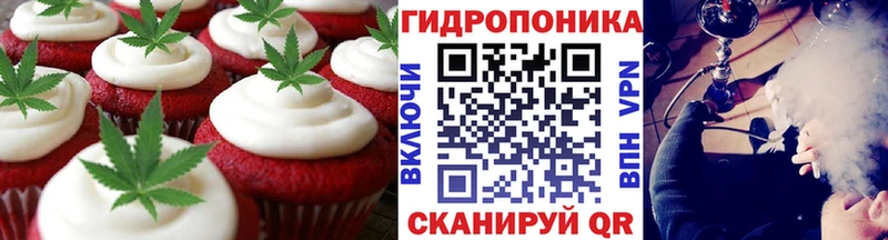 хочу   Жуковка  MEGA ссылка  Canna-Cookies марихуана 