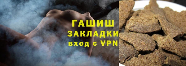 гашик Алексин
