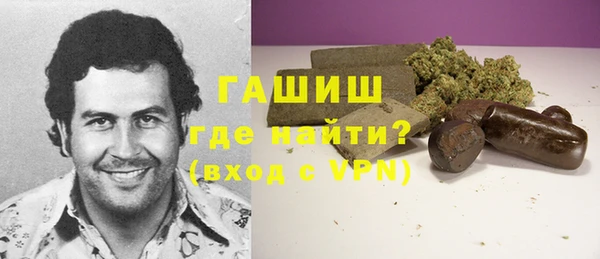 индика Алзамай