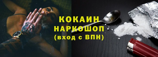 гашик Алексин
