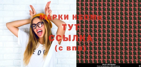 гашик Алексин