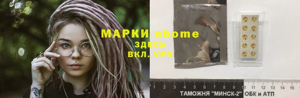 гашик Алексин