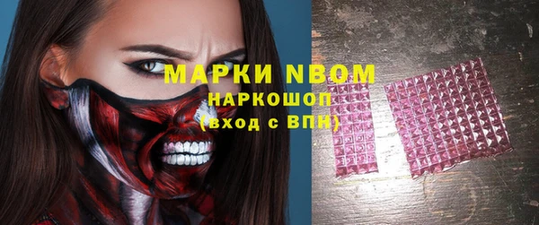 гашик Алексин
