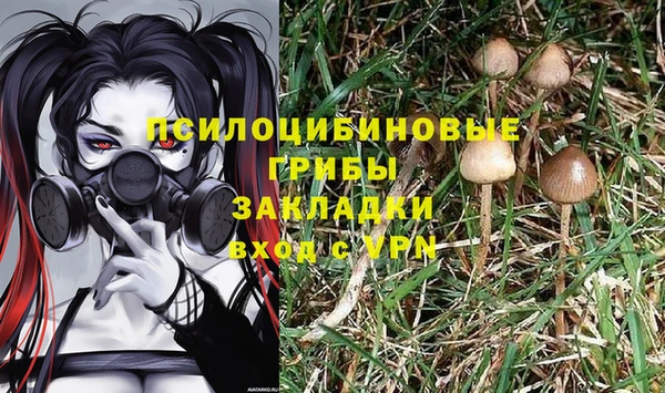 индика Алзамай