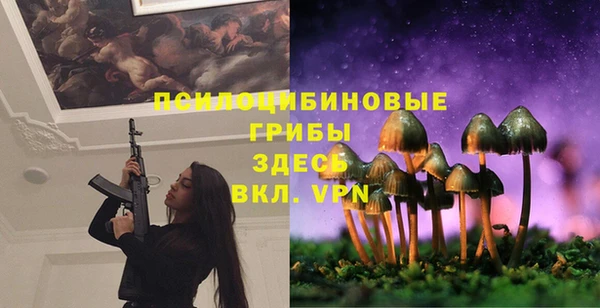 марки nbome Алексеевка