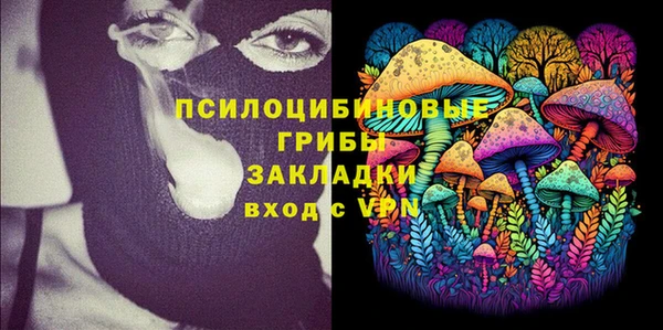 индика Алзамай