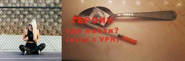 гашик Алексин