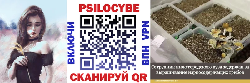Псилоцибиновые грибы прущие грибы Жуковка